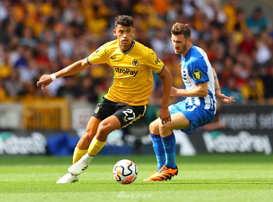 表现无疑是 表现无疑是