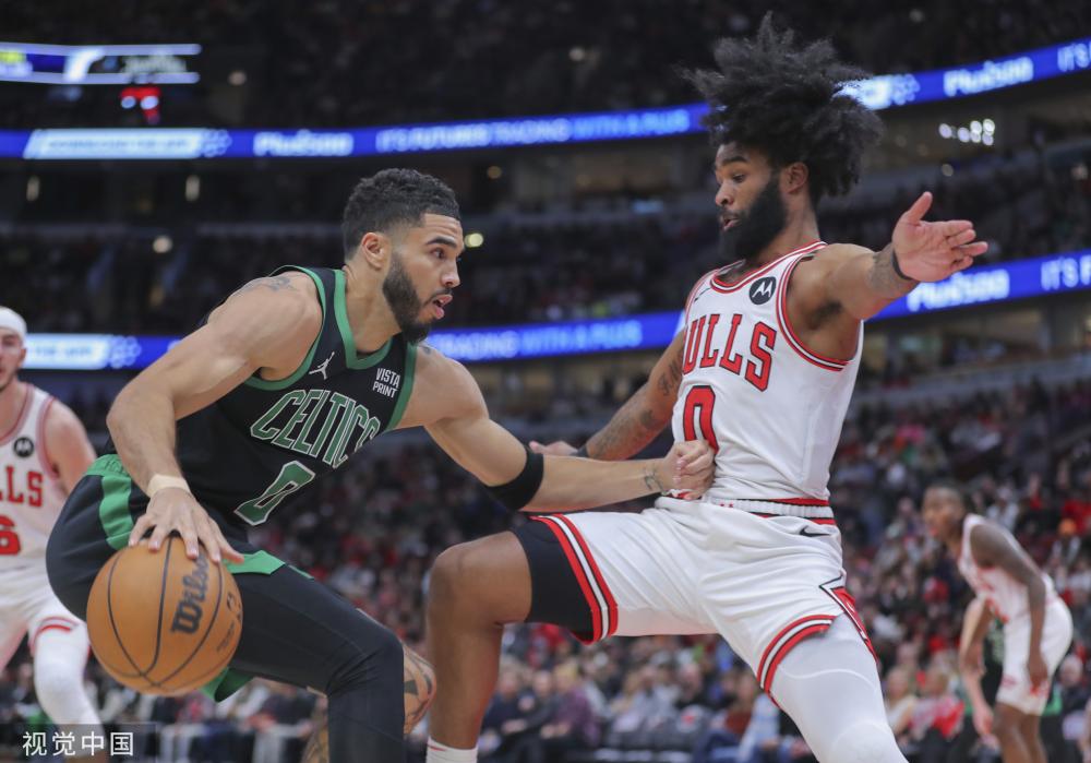 森林狼若无 森林狼若无